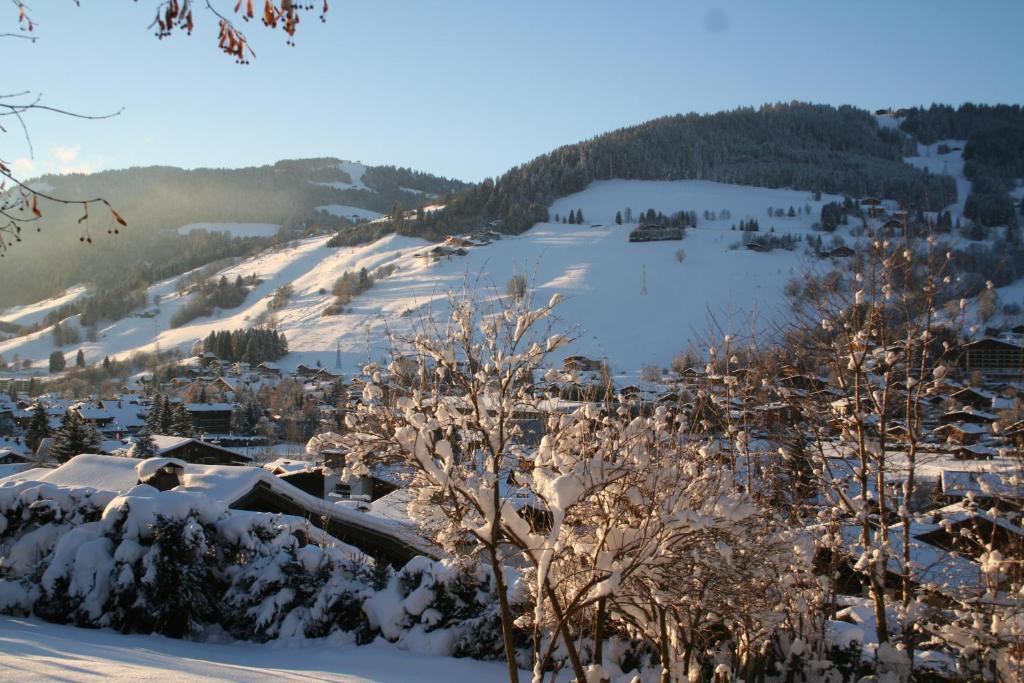 Chalet In Megeve住宿加早餐旅馆 外观 照片